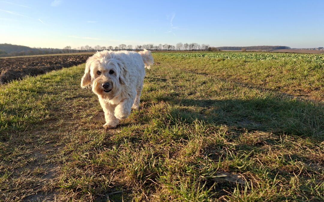 Back to Business 😍 Was für ein Geschenk! 🚀 Hallo 2026