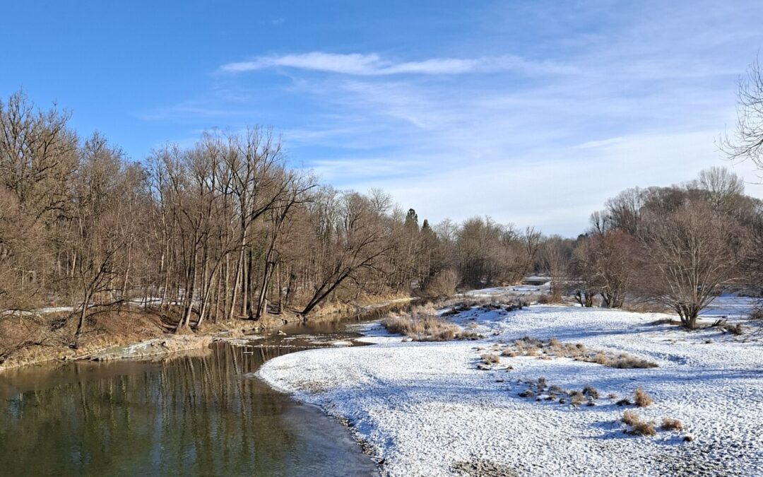 Mein Sterntaler Moment ⭐